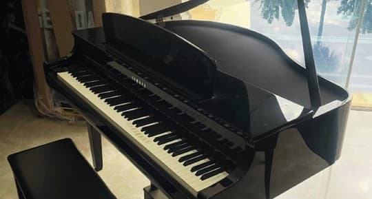 Senabico subastará bienes desde: un piano hasta inmuebles