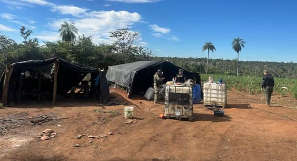 Narcotráfico avanza en el Parque Nacional Paso Bravo