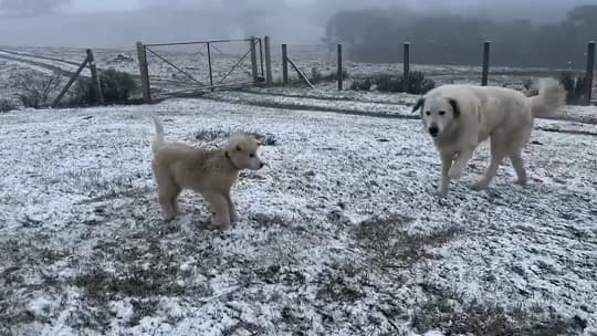 Nieve histórica cubre el sur de Brasil