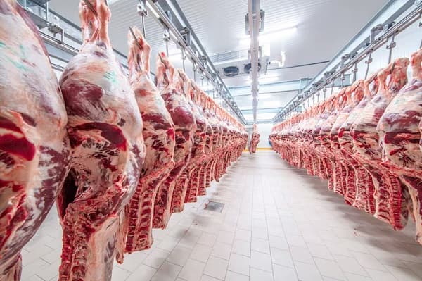 Japón inicia auditoría clave para carne paraguaya