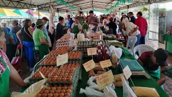 MAG impulsa ferias de agricultura familiar en Central