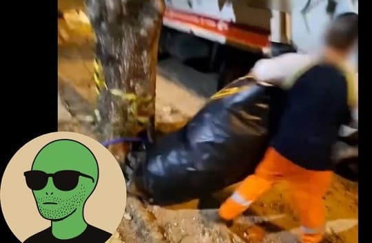 Tiktoker revela cómo trabajan los recolectores: madrugan a las 2:30 y enfrentan riesgos en cada recorrido