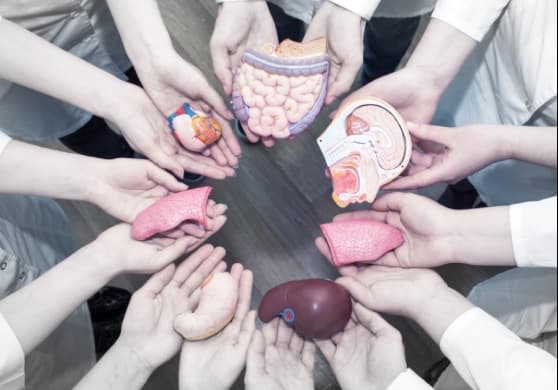 Hoy se conmemora el Día Nacional del Donante en Paraguay