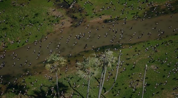Filadelfia será sede del Encuentro Mundial del Gran Chaco