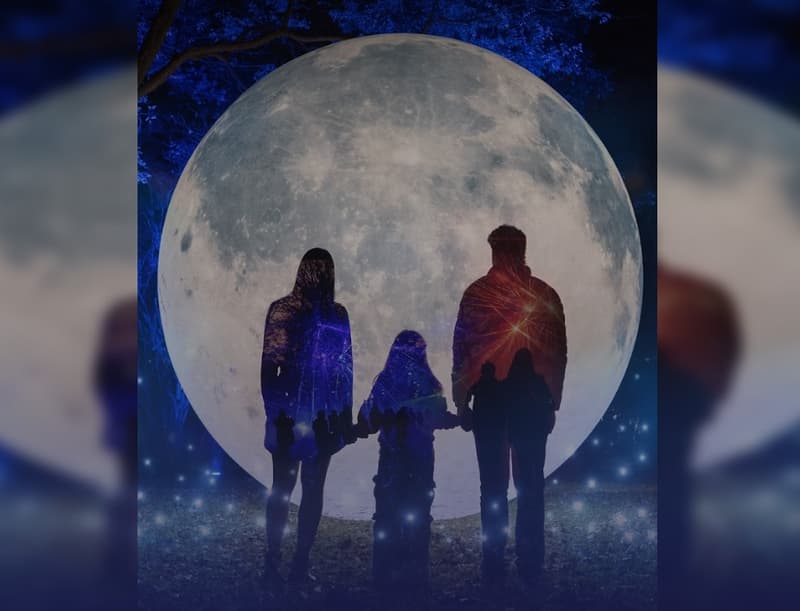 Aura Lumina transforma Parque Seminario en bosque de luz