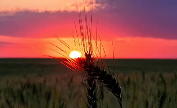 Martes con clima frío a cálido y sin lluvias