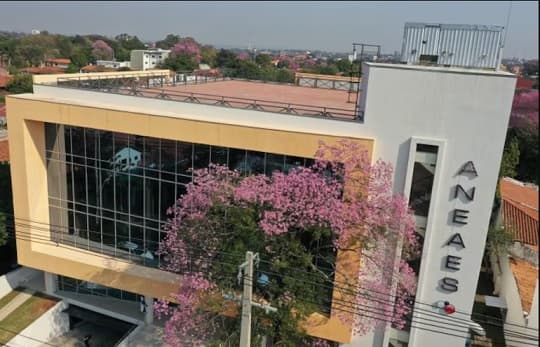 La Aneaes impulsa que las tesis e investigaciones se redacten también en guaraní