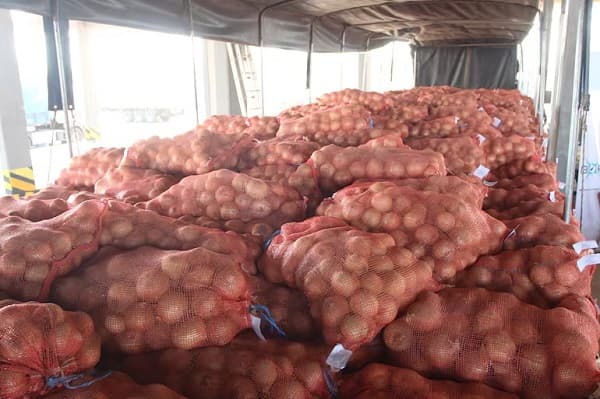 DNIT justifica operativo en finca de Boquerón por Contrabando