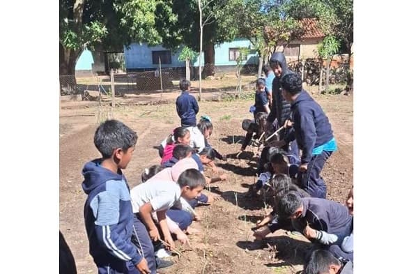 Escuelas de Cordillera cierran proyecto de huertas escolares