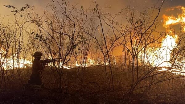 Chovoreca: JEM vigila a jueces y fiscales por inminente impunidad