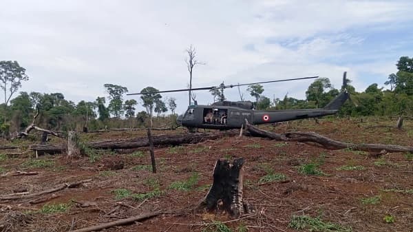 Narcotráfico destruyó 5.400 hectáreas de bosques en dos años, alerta Senad
