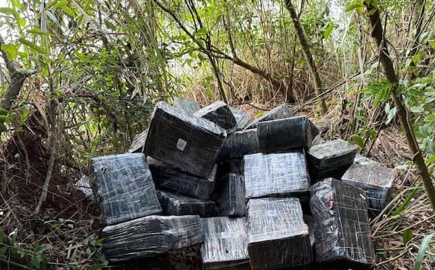 Incautan casi una tonelada de marihuana en el lago Itaipú