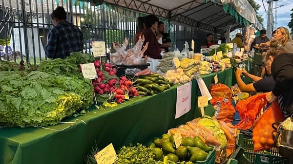 Ferias del MAG acercan el campo a tu mesa