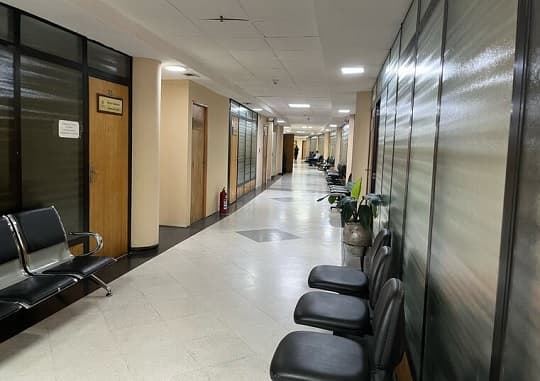 Gobierno declaró asueto este 31 de diciembre para funcionarios públicos