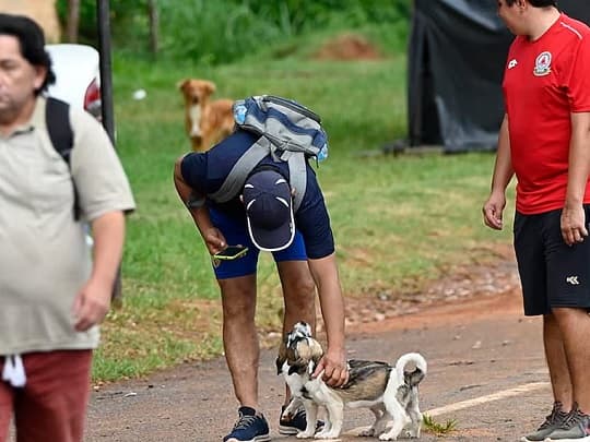 Piden no llevar mascotas en la peregrinación de Caacupé 2025