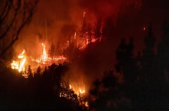 La Patagonia registra su peor incendio en 20 años