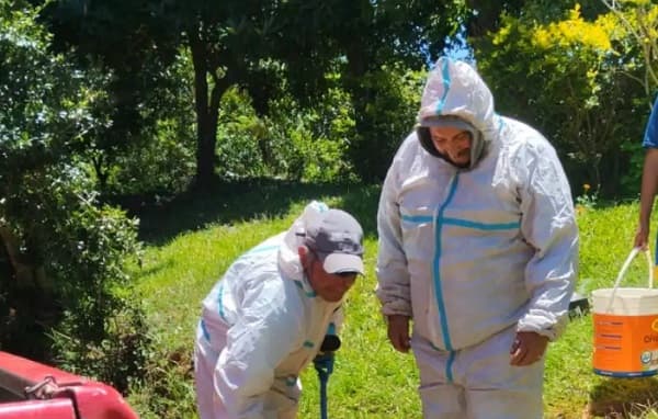 Operario de 70 años sobrevive a 100 picaduras de abejas