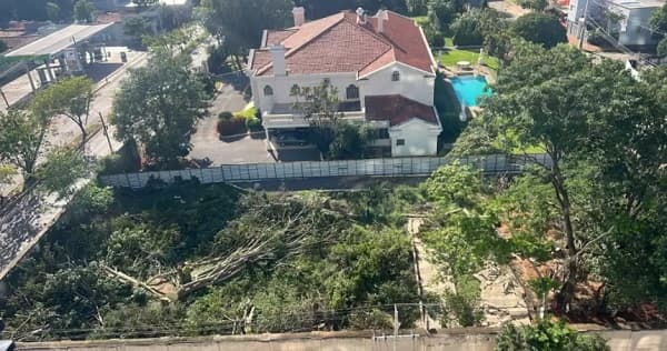 Tala ilegal en Trinidad: Fuelpar SA destruye pulmón verde