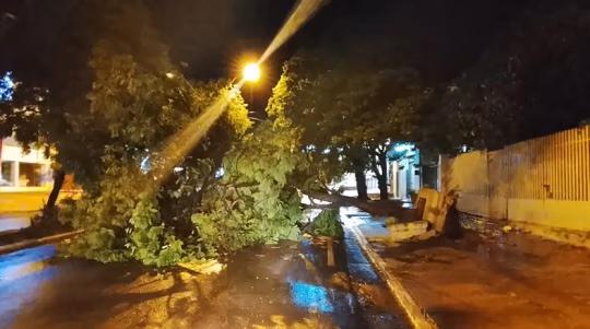 Temporal provocó severos daños materiales en Concepción