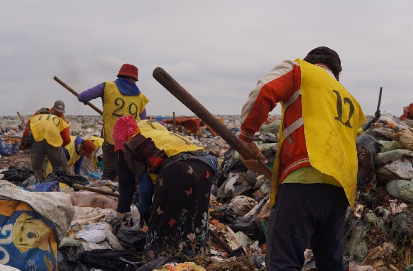 Cateura: hallan nutrientes que reducen daño en el ADN